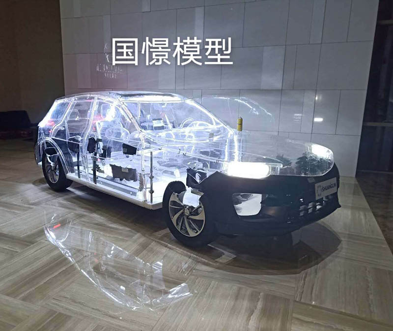 宣恩县透明车模型